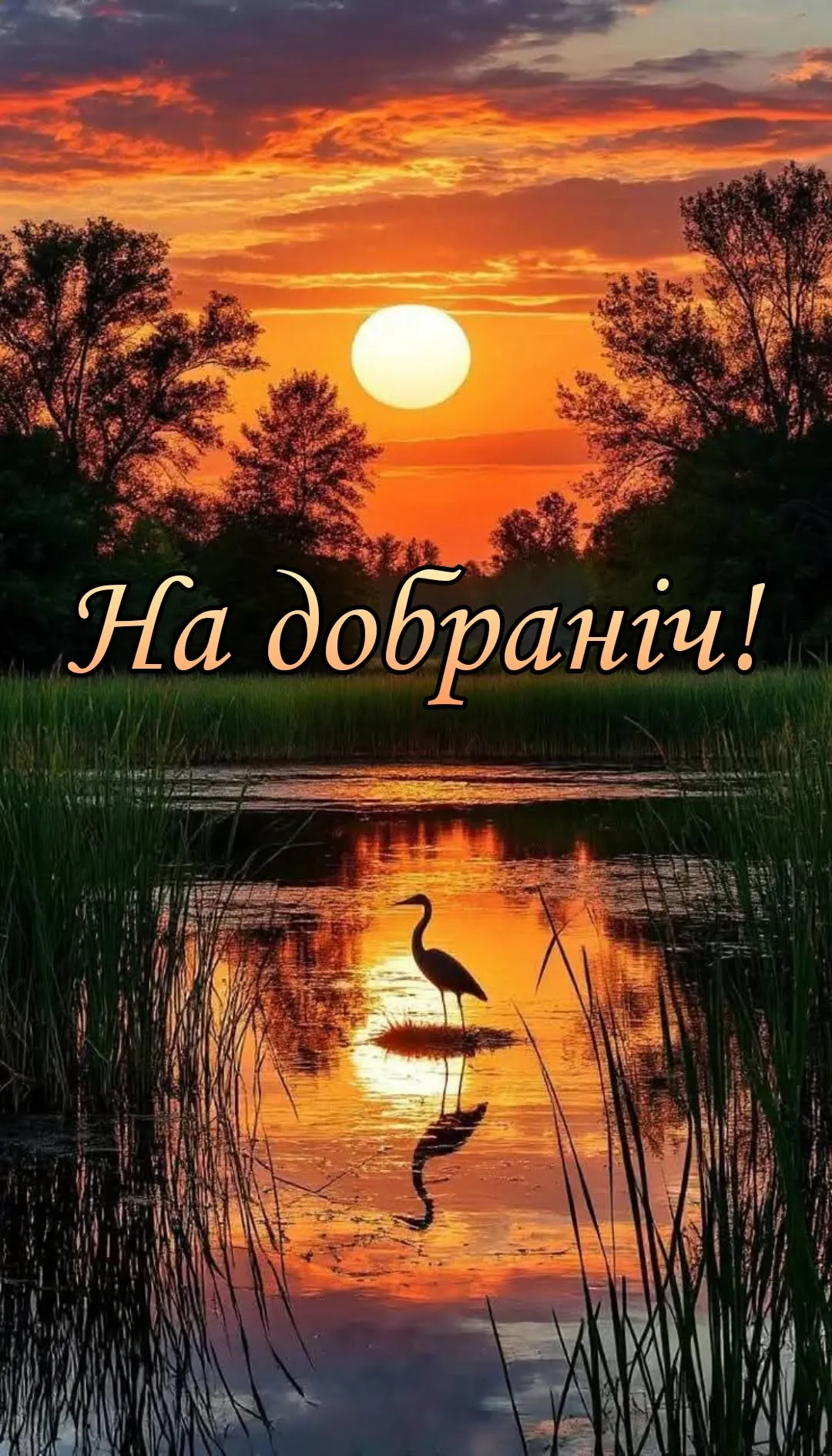 Картинка надобраніч - для людини, про яку думаєш перед сном, для красивої публікації Картинка надобраніч - для людини, про яку думаєш перед сном, для красивої публікації
